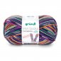 Gr�ndl Hot Socks Campione 100g, 420m