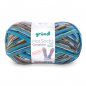 Gr�ndl Hot Socks Campione 100g, 420m