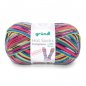 Gr�ndl Hot Socks Campione 100g, 420m