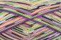 Gr�ndl Hot Socks Campione 100g, 420m