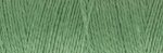 Leinengarn 16/2, 100g, Fern Green