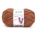 Gr�ndl Hot Socks Lugano 100g, 420m
