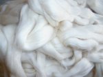 Baumwolle, spinnfertig gek�mmt, rohwei�